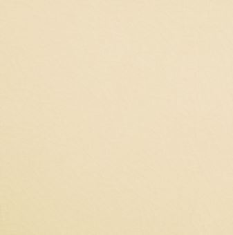 Crackle Collection- creme- Minton Hollins 