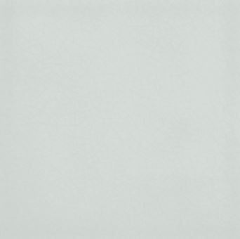 Crackle Collection- moos- Minton Hollins 
